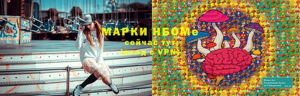 прущая мука Няндома