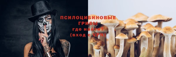гидра Новокубанск