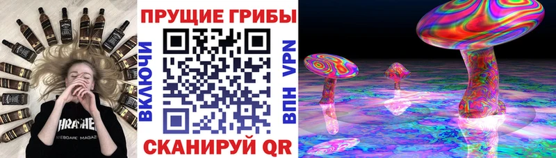Псилоцибиновые грибы мухоморы  Николаевск-на-Амуре 